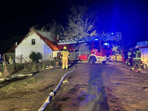 Kolejny pożar w regionie. Strażacy walczyli z ogniem w Kobylarni pod Bydgoszczą