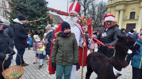 Wspólne strojenie choinki i żywe zwierzęta. Wigilia pod Gołym Niebem w Fordonie