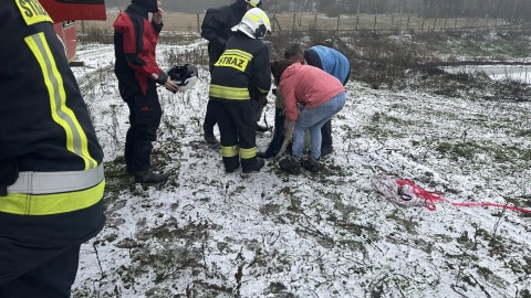 Psy są całe i zdrowe/fot. OSP Solec Kujawski